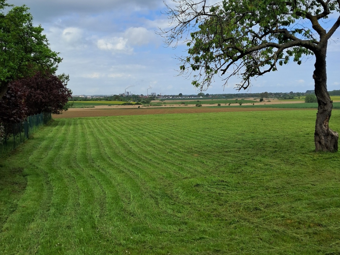 GS von links neu