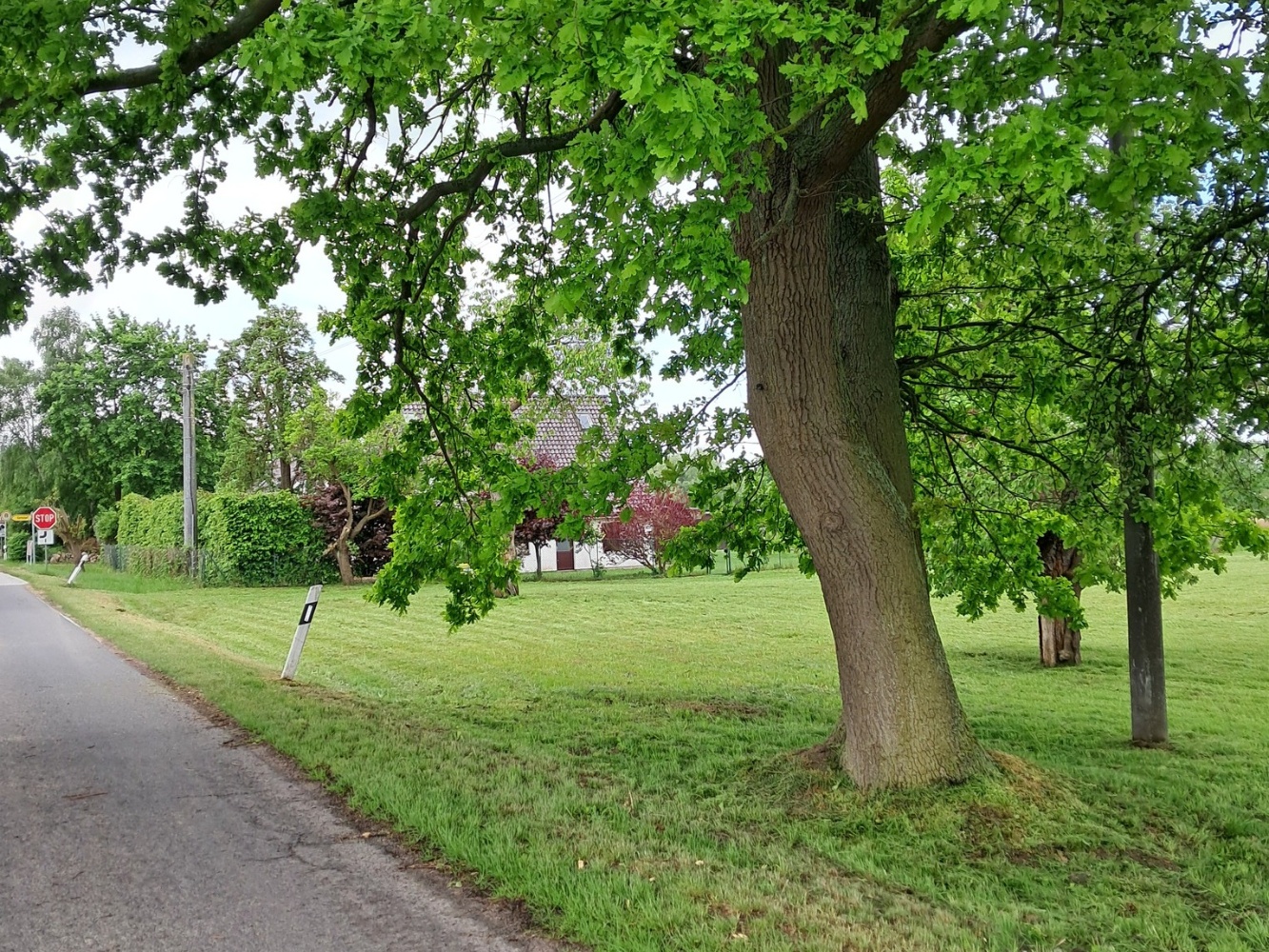 Straßenverlauf vor GS neu
