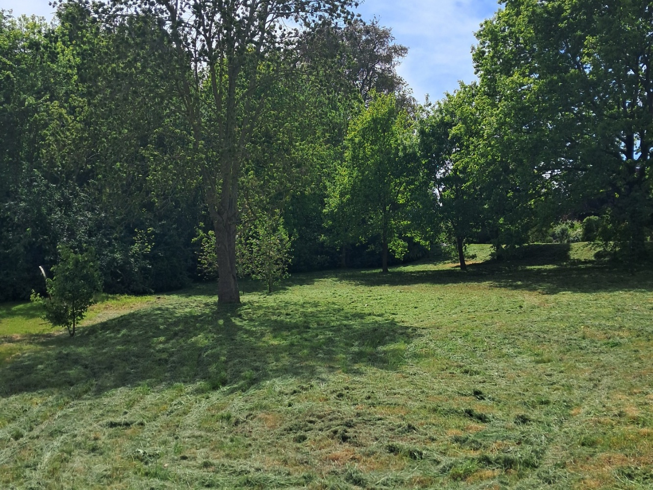 Parkweg-10-linke-Seite