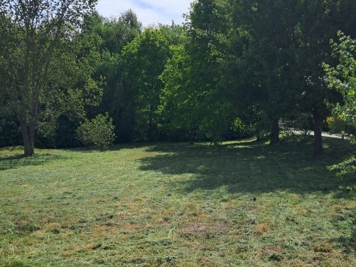 grosses Baugrundstück am Schlosspark