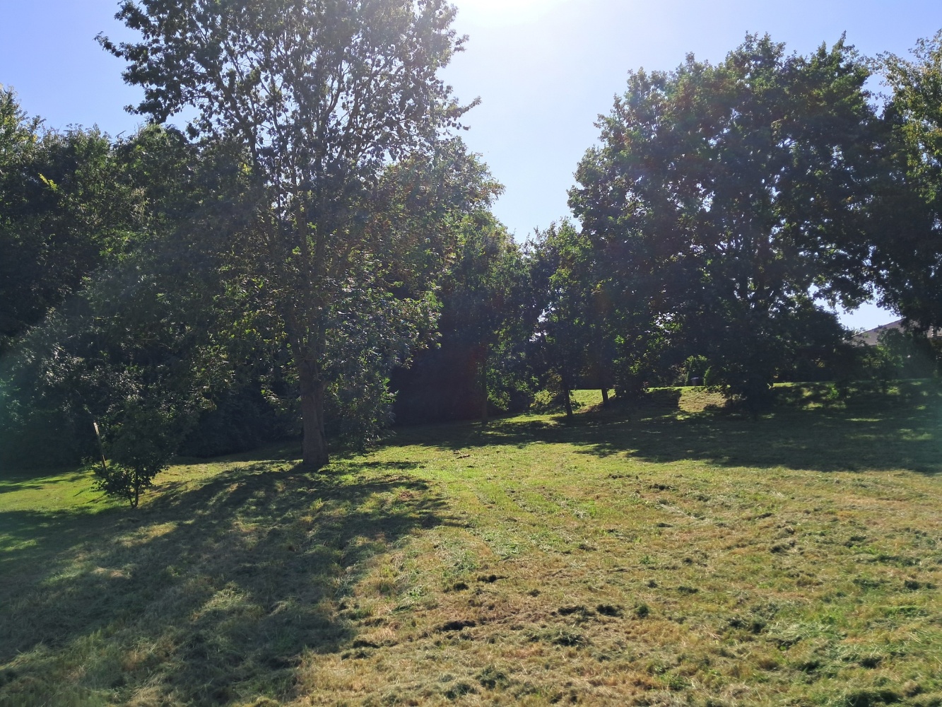 Parkweg 10  v. links