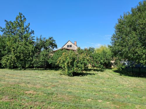 Baugrundstück am Schlosspark