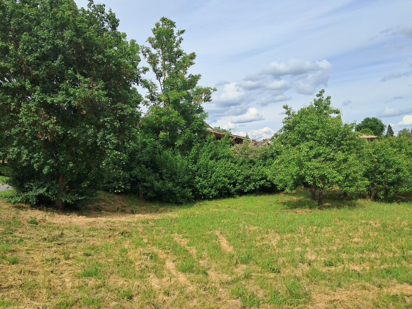 Parkweg 8 von links