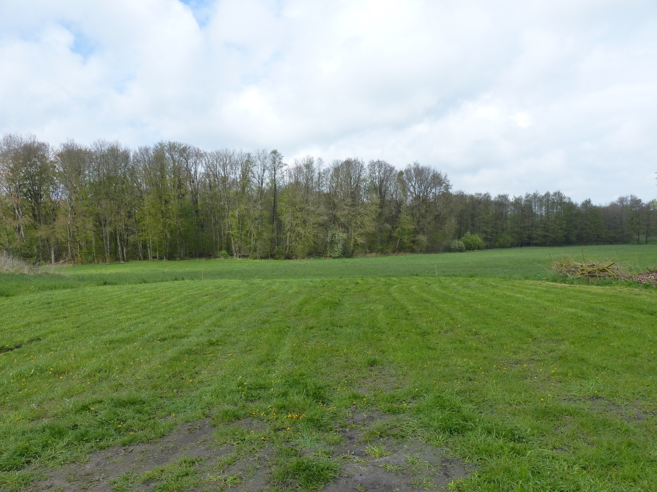 GS hinten
