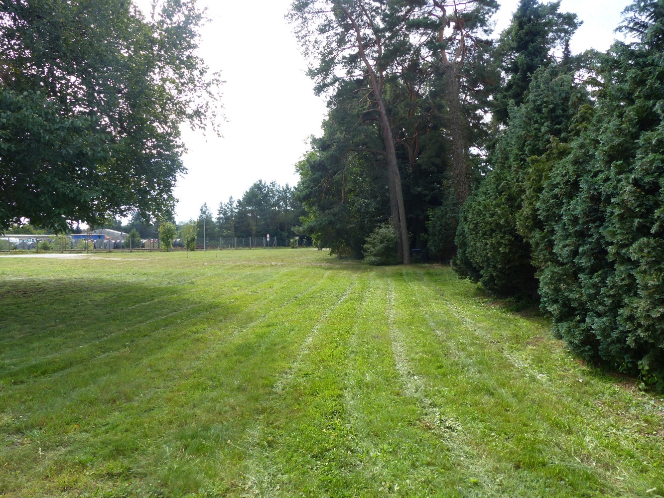 P1070540