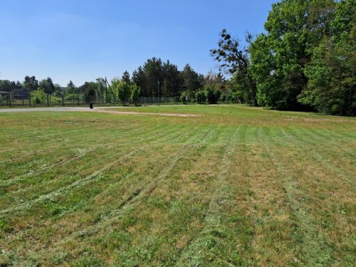 grosszügiges Stadtgrundstück am Waldrand für EFH/ZFH