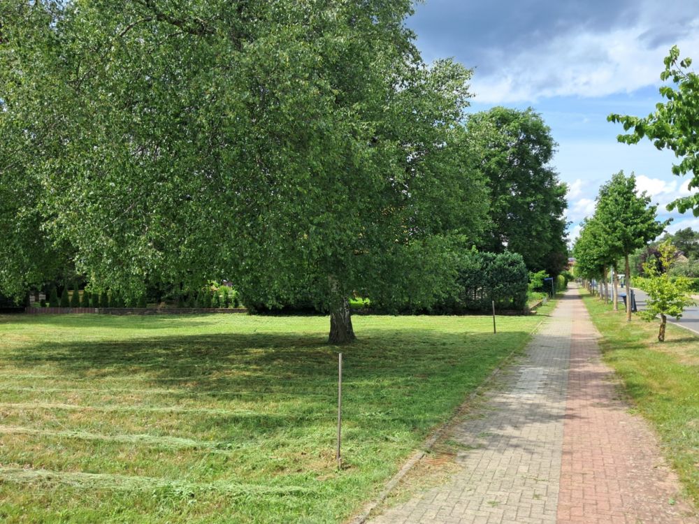 Verlauf vor GS Verlauf vor GS